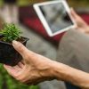 Outils connectés pour jardinage : la technologie au service de votre expérience
